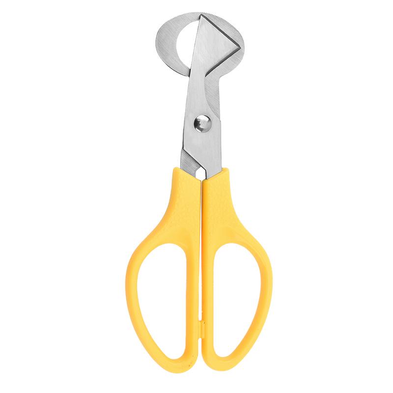 Stainless Steel Quail Egg Opener Scissors - Eggshell Cutter and Kitchen Shears