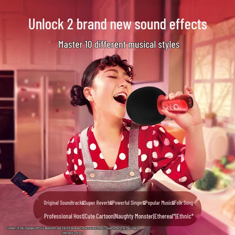 Changeba Little Giant KTV Microphone G2