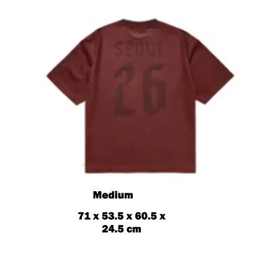 BTS Arirang Korea Tour Jersey (Seoul or Busan )