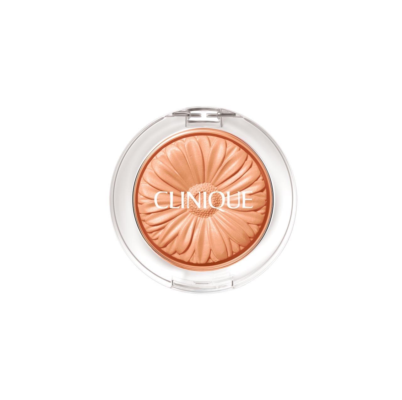 

Clinique Cheek Pop Single Item/Special Select 1 20 Sorbet Pops (single item)