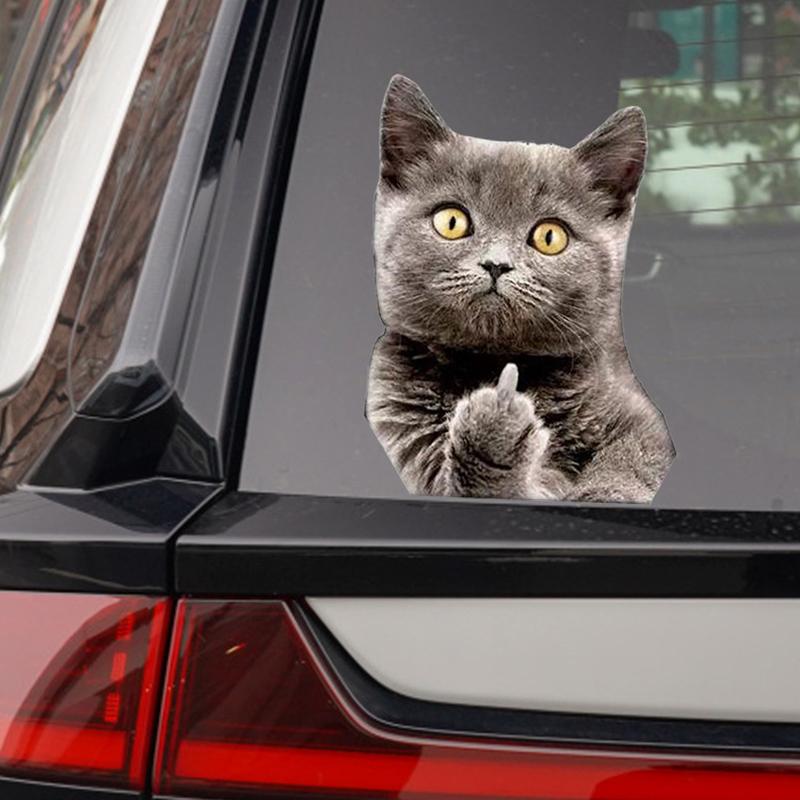 Spider Web Vinyl Decal - Die Cut Car Window Sticker For Trucks, Laptops & More