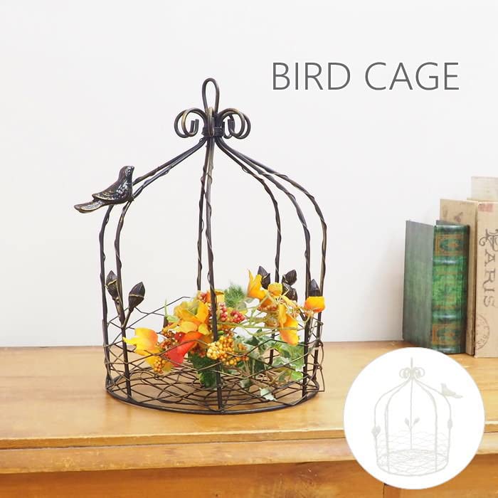 Murataya Sangyo Iron Bird Gazebo 6625 Black 1166ap