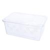 Reptile Tank Insect Spiders Tortoise Lizard Plastic Transparent Reptile Breeding Box Vivarium With Balcony Feeding Supplies