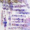 Journamm 20 Stück/Packung Spitze Blume Schmetterling Lang PET-Aufkleber DIY Collage Zubehör Kreative Dekoration Schreibwaren Ästhetische Aufkleber
