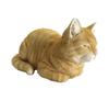 Nogawa Farm Scented Box Cat