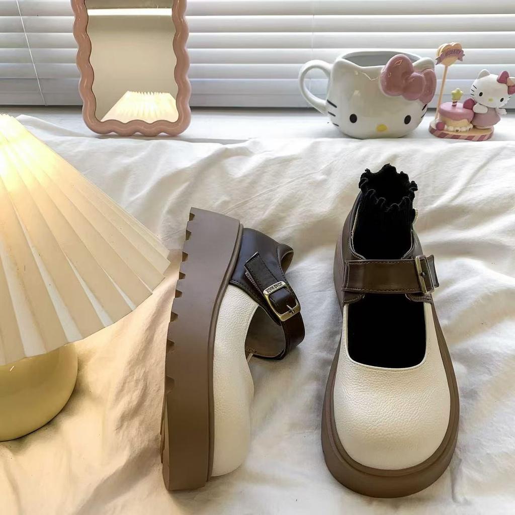 French Evening Breeze Single Shoes with Skirt Medium and High Heels Small Leather Shoes 2025 Spring and Autumn New Thick-soled Shallow Mouth Mary