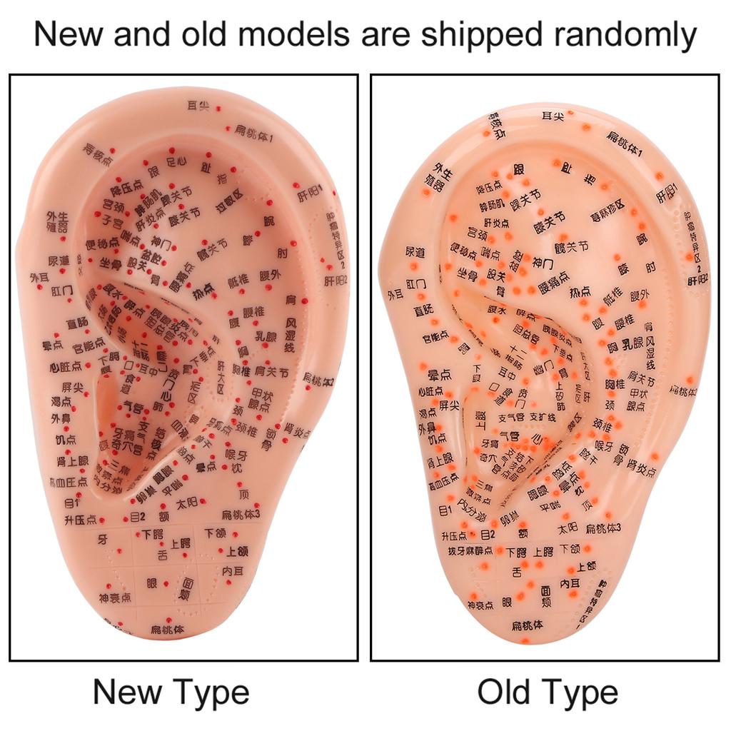 Model Acupunctură Ureche Umană cu Puncte de Acupunctură Model Masaj Ureche pentru Uz Casnic