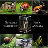 Reptile Enclosure Front Opening Escape Proof Habitat Acrylic Jumping Spider Habitat Box For Observation Home Pet Store Bedroom