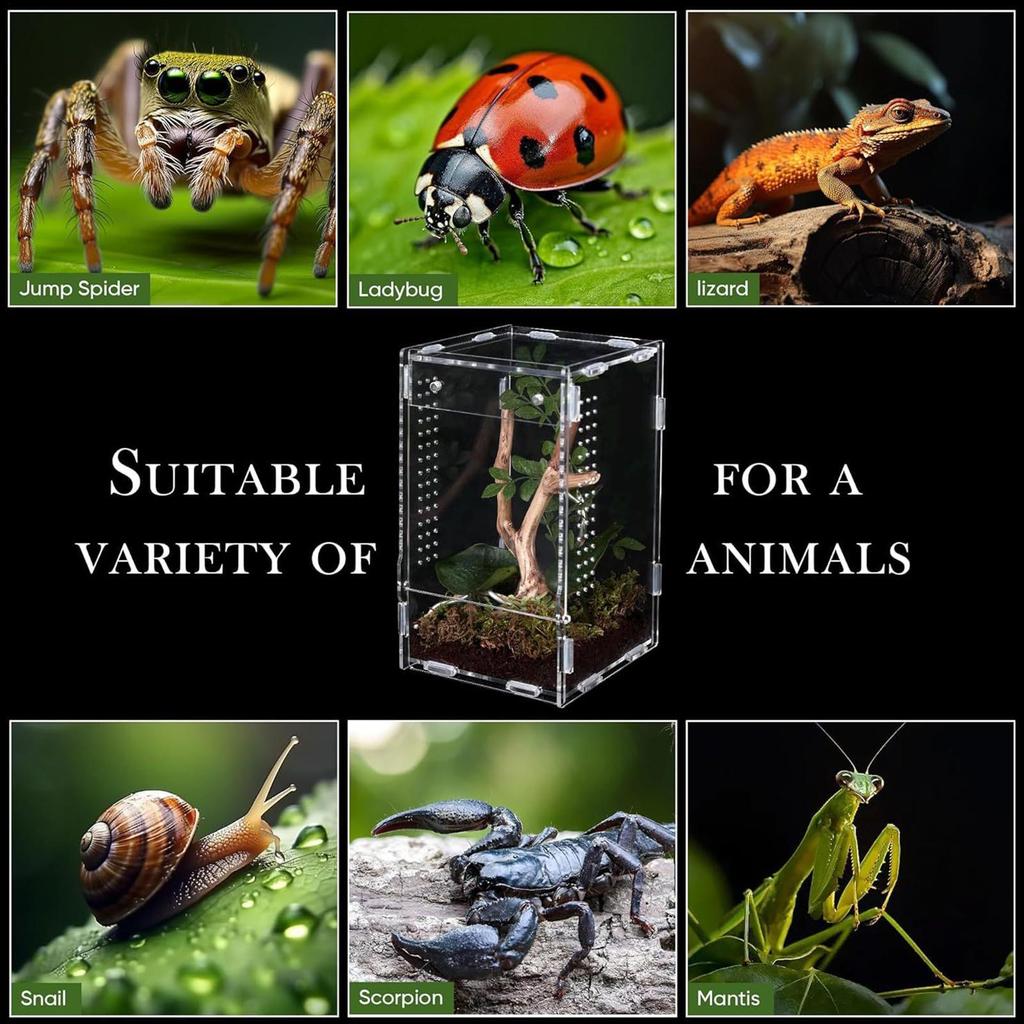 Reptile Enclosure Front Opening Escape Proof Habitat Acrylic Jumping Spider Habitat Box For Observation Home Pet Store Bedroom
