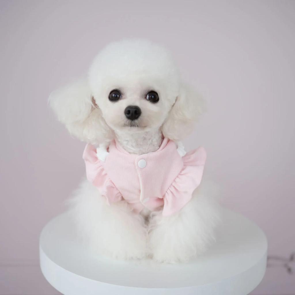 Small and Medium-sized Autumn and Winter Dog Clothing Dog Skirt Sunflower Thread Knitted Skirt Cat Cold Resistant Plush Skirt