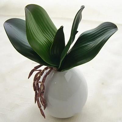 Mesterséges Növény Levél Valódi Érintésű Phalaenopsis Orchidea Műanyag Levelek Hamis Növény Zöld Levél Díszítő Zöld Növény Szimulált Levél