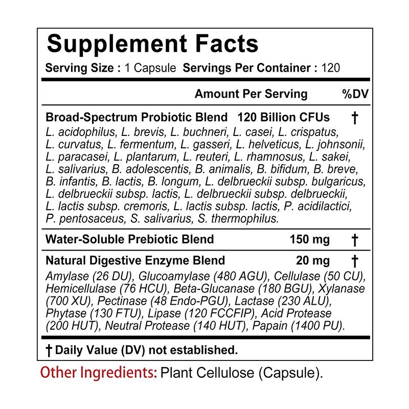 Pslalae 3-in-1 Daily Probiotic Capsules (with Prebiotics and Digestive Enzymes) – Digestive Health