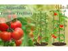 Garden Plant Twist Ties - 20m Soft Wire for Supporting Branches, Vines, and Stems