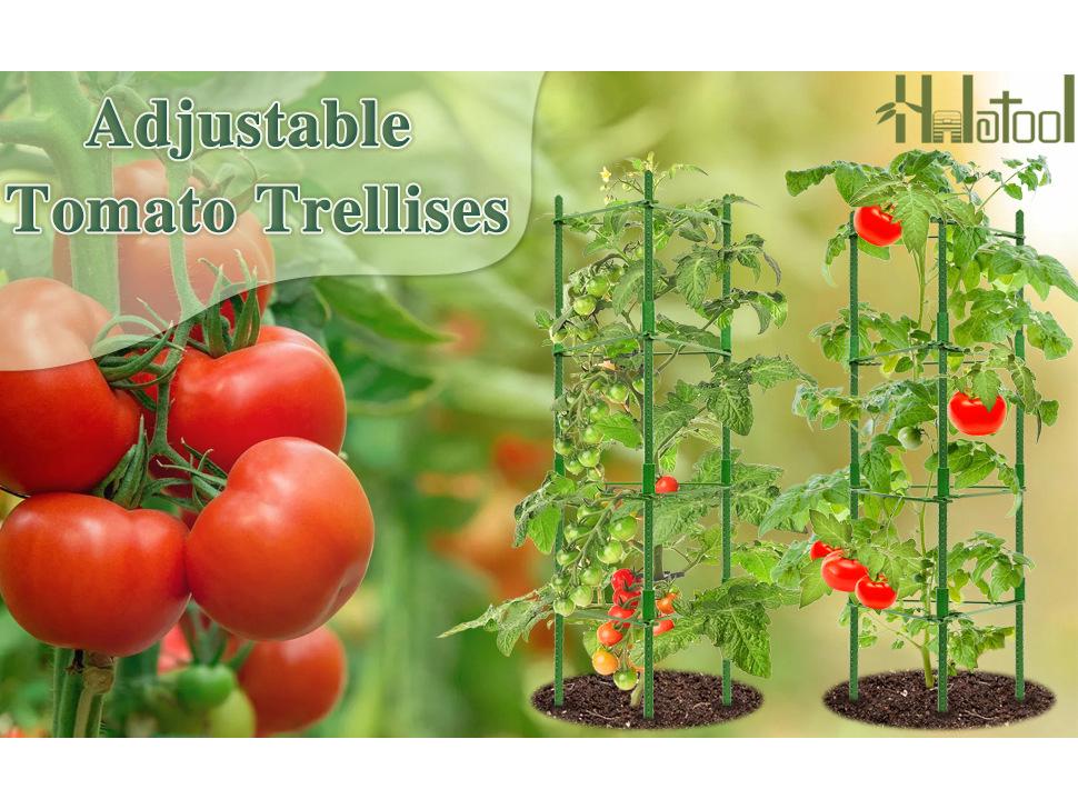 Garden Plant Twist Ties - 20m Soft Wire for Supporting Branches, Vines, and Stems