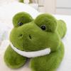 Cute Frog Doll Plush Toy Green Frog Doll Rag Doll Throw Pillow Children