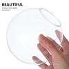 Hanging Hydroponic Vase Clear Glass Wall Mounted Terrarium for Lucky Bamboo Plant Propagation Small Fish Bowl Indoor Decor