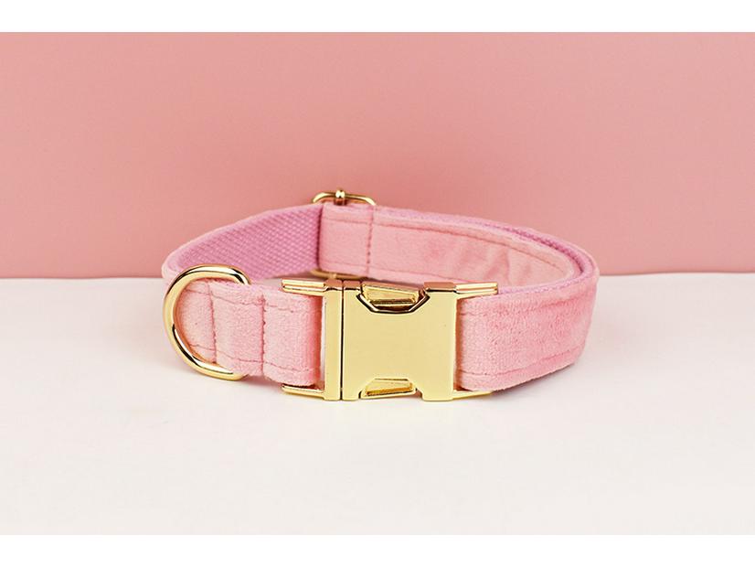 Personalized Teddy Fleece Dog Collar - Pet Supplies