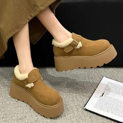 Winter Womens Ankle Boots 2025 New Height-enhancing Thick-soled Botas Mujer Casual Slip-on Warm Plush Women's Classic Snow Boots