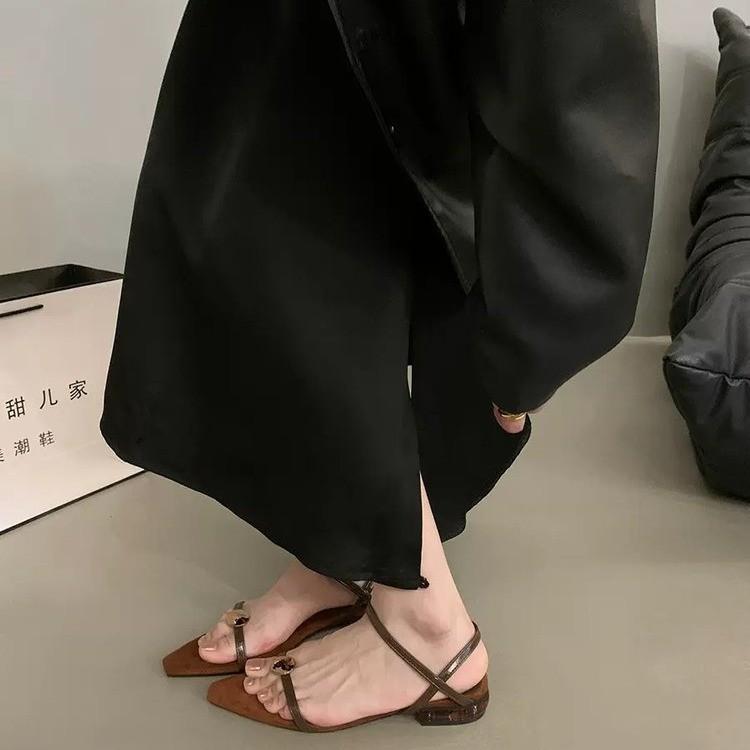 Design Sense Niche Pointed Flat Sandals Women's Shoes Summer 2025 New French Temperament Black Roman Shoes Women