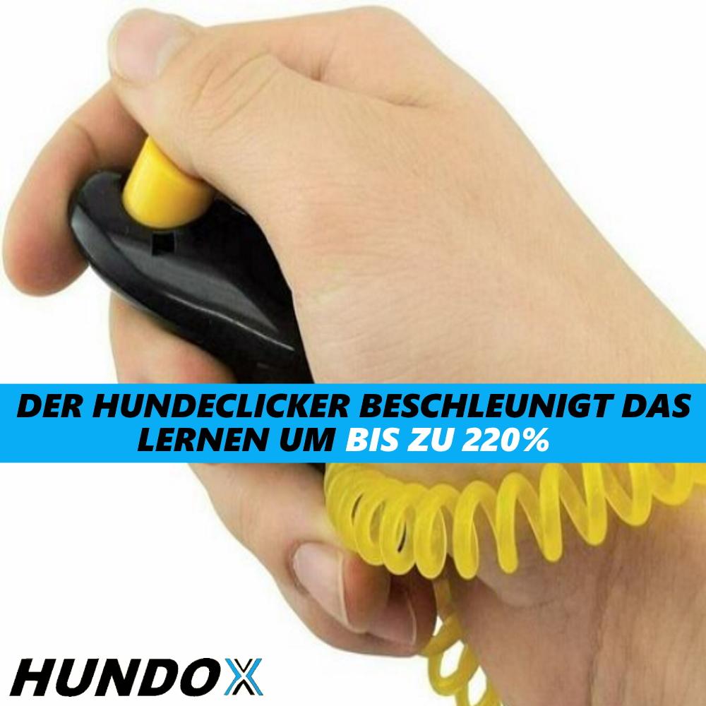 HUNDOX Hundepfeife Hochfrequenzpfeife lautlos + Klicker+ Schlüsselband [2er Set]