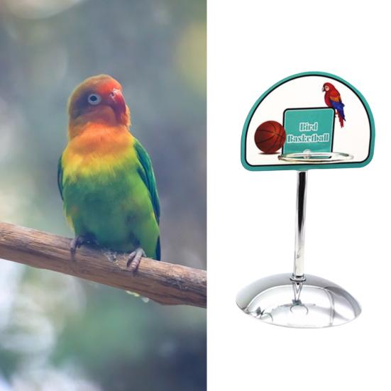 1 Set Bird Toy Round Base with Bell Ball Pet Bird Parrot Basketball Game Toy Pet Supplies