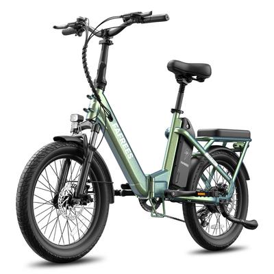 Fafrees Flex Foldable Electric Bicycle 20" 250W Motor City Electric Bike With Mini Sofa 36V 25Ah LCD Display 7 Speed Max Load 140kg