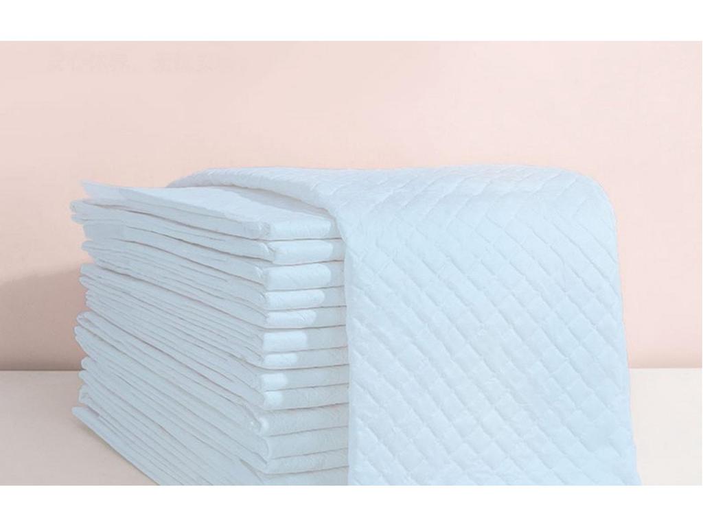Good Fortune Super Absorbent Pet Training Pads - Deodorizing Urine Pads for Cats and Dogs