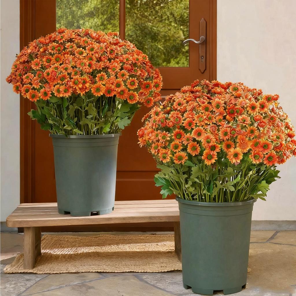 Realistisches Aussehen: Haustür, Veranda, Innenhof, Balkon, Künstliche Außenbereich, Sonnenuntergangsblumen