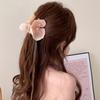 Ballet Style Phalaenopsis Flower Simple Internet Celebrity Disc Hair Grab Clip Side Hair Grab Seaside Atmosphere Photo Hairpin
