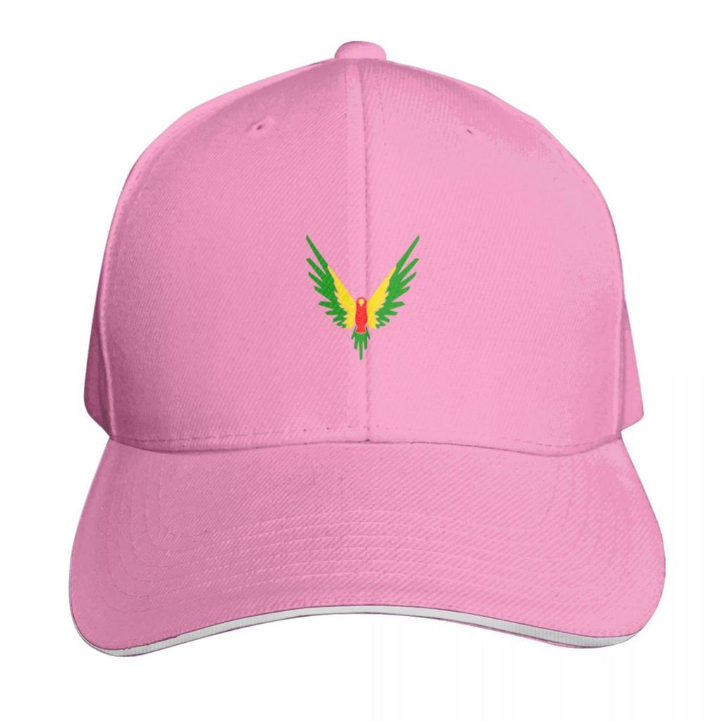 Logan Paul Baseball Cap Winter Hats for Unisex Designer Hat Black Vintage Boy Womens