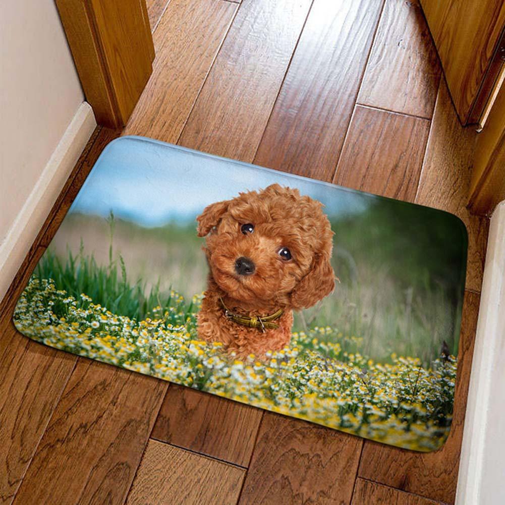 Cute Pet Cartoon Animal Pattern Entrance Floor Mat For Hallway Entrance Living Room Bedroom Flannel Rug Home Decoration