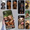 Dachshund Dog Phone Case For Samsung Galaxy S26 S23 Ultra S20 S21 S22 S24 S25 Plus S10 S25 FE Cover Coque