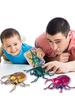 Youngsters Play sets High-Quality Clockwork High-Quality Beetle High-Quality Toy High-Quality Artificial High-Quality Beetle High-Quality Trickster