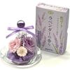 NICHIFLRO Preserved Incense Made In Mini Glass Dome Incense Set Flowers, Sticks, Offerings, Sympathy, Obon, Higan, Long-lasting, Never-fading Flowers,