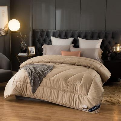 Premium Thickened Camel Hair Quilt for All Seasons