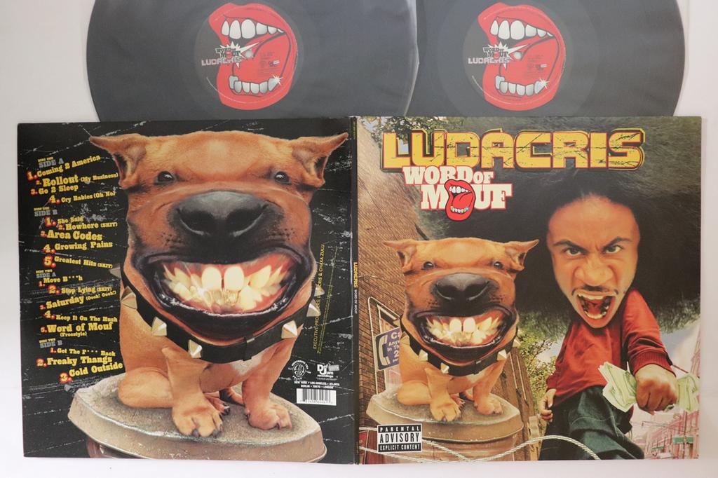 LP Record LUDACRIS Word Of Mouf 3145864461 DEF JAM 2001 US Rap HipHopRB Used