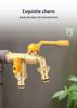 All-Copper Kitchen & Garden Faucet: Household Washing Machine & Outdoor Brass Water Tap