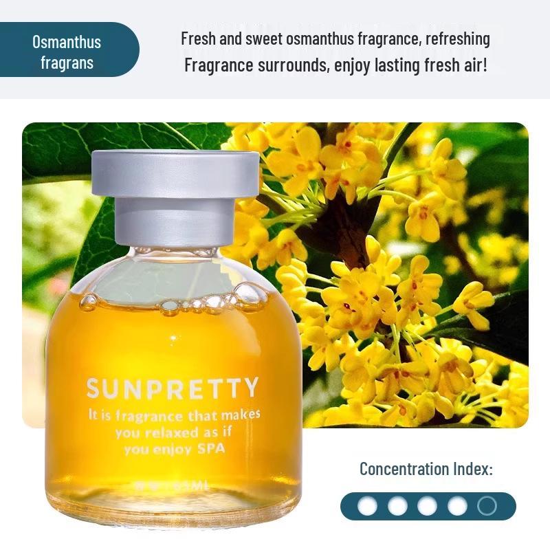 Aromatherapy Car & Home Rotating Fragrance Ornament