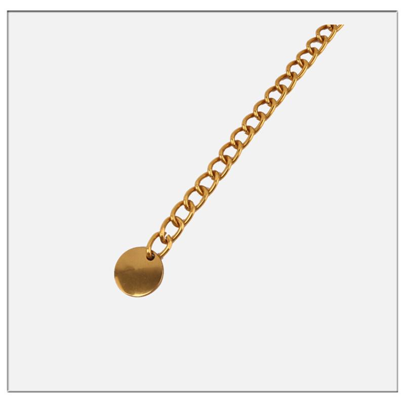 Horsebit Metal Chain Belt Lock Pendant Waist Golden Chain for Body Dress Mini Fashion Woman Decorative Dress Accessories