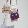 Clasp Bag with Litchi Pattern, Trendy Single-shoulder Casual Crossbody Women's Bag, Versatile and Easy To Match