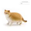 1pc Mini Realistic Cat Figurine Set Cute Orange Tabby British Shorthair Toy Kittens for Kids Decoration Resin Decorative Ornaments
