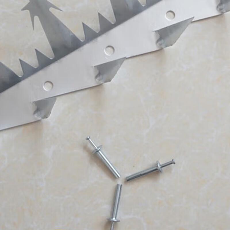 304 Stainless Steel Anti-Climb Security Wall Spikes