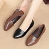 Flat Women Shoes Genuine Leather Women's Spring Shoes Large Size Slip-on Middle-aged Mother Women's Shoes