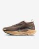 FQ0912-200 Nike Pegasus Trail 5 GORE-TEX Mink Brown Orange Chalk Pearl (Women's)
