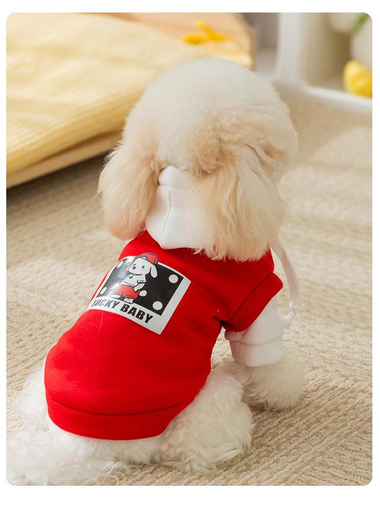 Sweat à capuche tendance pour Bichon et petit chien - Vêtement pour animal de compagnie chaud pour l'automne/hiver à deux pattes