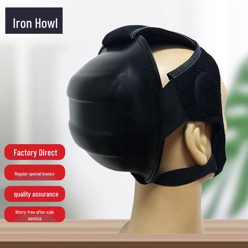 Martial Arts Combat Training Head Protector