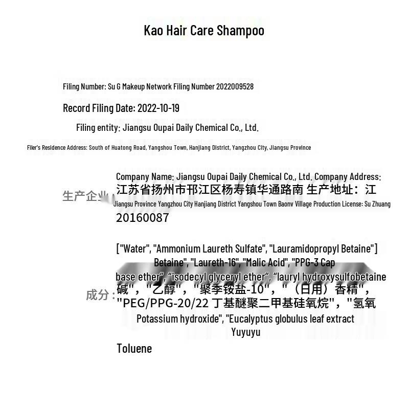 Kao Refreshing & Smoothing Hair Shampoo