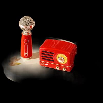 Elvis Kleiner Prinz OTR Tragbarer Bluetooth-Lautsprecher mit Mikrofon CN-Stecker (Adapter enthalten)