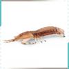 Underwater Animal Pvc Pipi Shrimp And Crab Sculptures Pack With Lifelike Marine Creatures For Aquarium Display