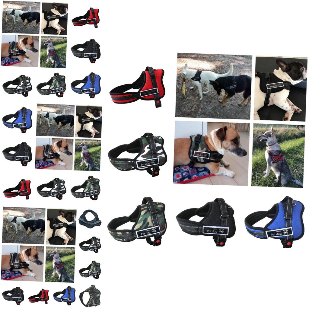 Premium Quality Pet Chest Harness And Leash For Medium To Large Dogs Adjustable Durable And Stylish